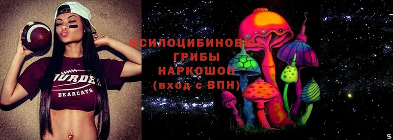 Псилоцибиновые грибы мицелий  Болотное 